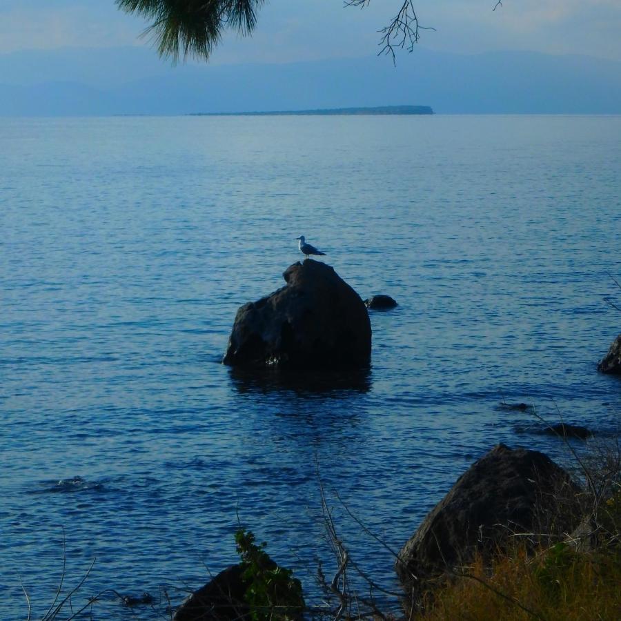 Villa Rodanthos Perdika  Exteriér fotografie
