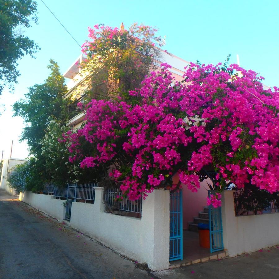 Villa Rodanthos Perdika  Exteriér fotografie